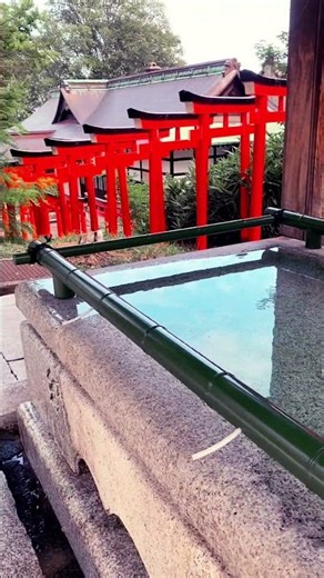 2026年9月1日 小樽総鎮守住吉神社の手水鉢😊朔日詣りに行ってきました。お花で飾っていない手水鉢もナチュラルで良いものです🤗