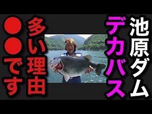 【村田基】池原ダムはなぜデカい個体が多いのか？その理由は●●です。【村田基切り抜き】