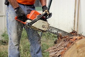 Chainsaw Kickback - What Is It, What Causes It, and How to Avoid It  | Cross Saw Mill