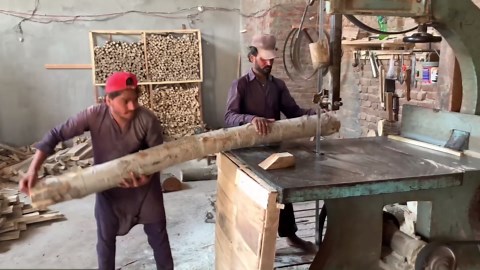 Explore the Fascinating Craft of Cricket Bat Making