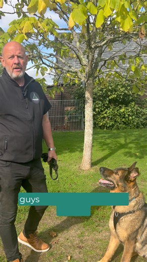 Reactivity doesn’t happen out of nowhere... your dog tells you first Before a dog barks, lunges, or growls, there are often early body language cues showing they’re uncomfortable or over threshold. Watch for: Hard or fixed staring Freezing or going still Weight shifting forward Tense muscles or closed mouth Fast breathing or lip licking Tail held high and stiff, or tucked low These are signs your dog is saying: “I’m not okay with this.” When you spot them — don’t wait for the reaction. ➡️ Create