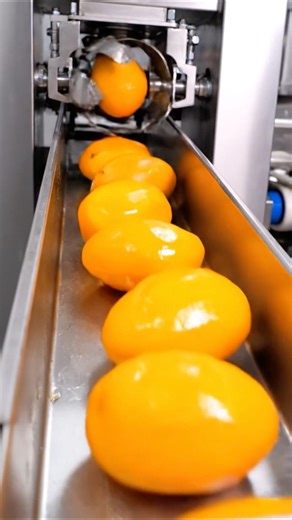 Extracting Mango 🥭 fruit juice #food #mango #howto