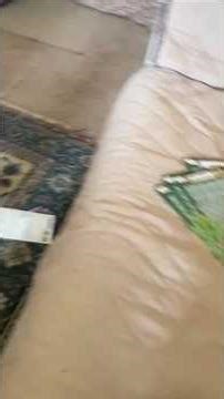 I know I kept saying it! but scan your tickets it's really important found $80!! let's go!! 🤠😁