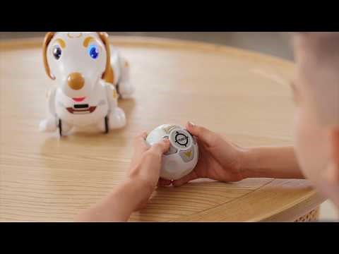 ROBO DASH D (Honey Brown)