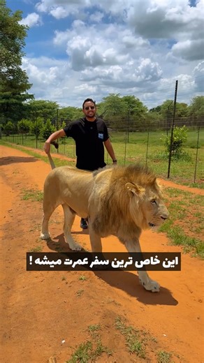 ‎|✈️|آژانس هواپیمایی الفبای سفر | بلیط،هتل،تور‎ on Instagram‎: "⁨ اینجارو همه باید بیان ببینن!😍 ‪@alefbatravel‬ 🔸کلمه “آفریقا” رو بنویس تا اطلاعات تورهاش برات ارسال بشه . آفریقای جنوبی مقصدِ تضاده؛ جایی که شهر، اقیانوس و حیات‌وحش همه یه جا جمع شدن🥹🇿🇦 رز/رو تور از اینجا‪@alefbatravel‬el . 🔻چیزهایی که این سفر رو خاص می‌کنه: 🦭 تو Hout Bay فوک‌های دریایی رو از فاصله‌ای می‌بینی که حس می‌کنی مهمون قلمروشونی، نه تماشاگر. 🐧 پنگوئن‌های آفریقایی برخلاف تصور، کنار ساحل‌های گرم زندگی می‌کنن؛ دیدنشون