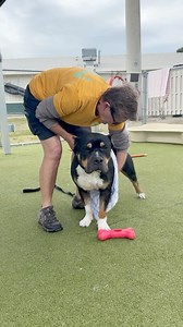 138 reactions · 62 shares | “Love me tender, please.” -TANK Handsome...