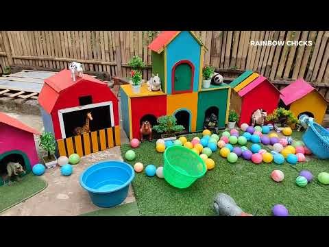 RAINBOW CHICKS & BUNNY FUN WITH COLOR BALLS || COLORFUL RAINBOW CHICKS ADVENTURE