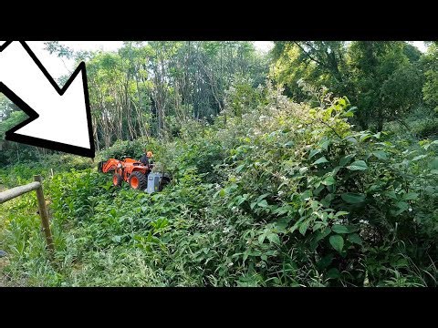 Epic land clearing with Kubota B2650 & BaumaLight MP550 | Farm transformation before & after!