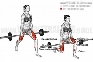 Barbell-between-legs split squat exercise instructions and video