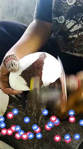 Satisfying Coconut Outer Skin Shaving 🥥🔥 ASMR #shorts