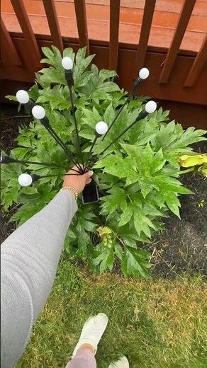 Amazon Solar Lights for Your Backyard Deck Patio Garden! #amazonstyle