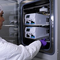 Video: Combining Human Organoids and Organ-on-a-Chip Technology to Model Intestinal Region-Specific Functionality