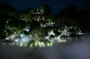 ニコン Z 6II レビュー｜AF性能も堅実にレベルアップした進化機種 | ShaSha