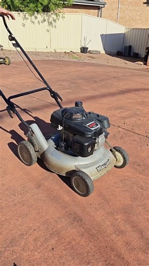 This Masport with a Honda GXV is the MVP! Cold Start #lawncare #gardeningtools #grassmowing