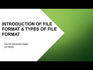 Lec-13 Introduction of File Format in Hindi || Types of File Format in Hindi|| File Format Hindi