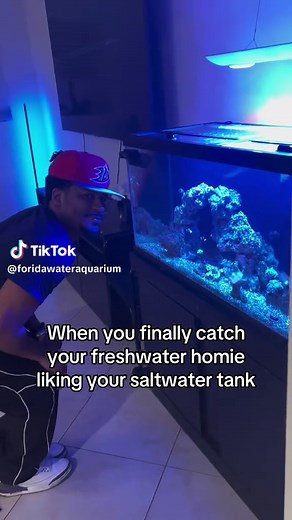 Exploring the Dark Side of Aquariums: Freshwater Meets Saltwater