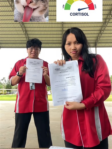 Achieving Five Papers in Three Days: My Journey