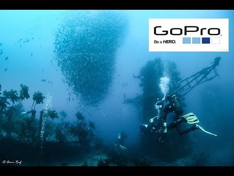 GoPro Hero 5 | Underwater Tips for Scuba Diving