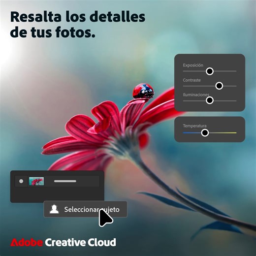 Resalta los detalles de tus fotos con Creative Cloud Pro. | Adobe Creative Cloud