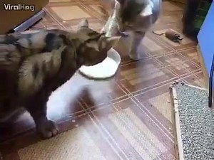 A very good message we all can take from this video.. must watch | The True Teller - t3 Production