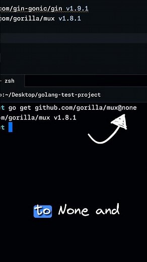 Remove a Go module in 5 seconds #go #programming #golang #coding