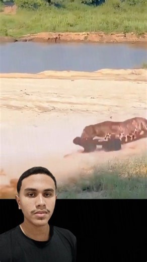 Escapou fedendo | Lg Player