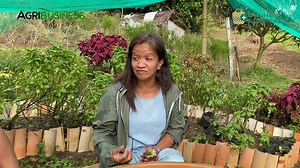 13K views · 673 reactions | HERBS and SPICES + FARM TOURISM | Agribusiness | Facebook