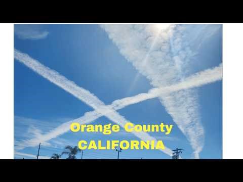 Does THIS Look NORMAL To You?!