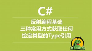 C#反射编程基础三种常用方式获取任何给定类型的Type引用