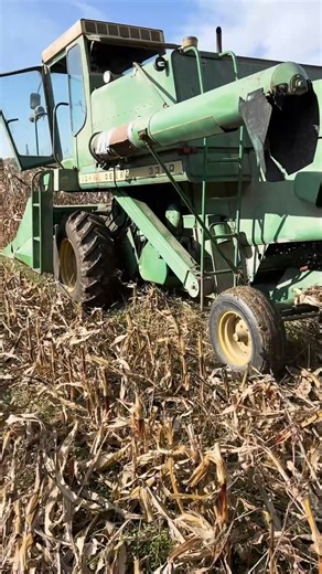 Have you ever seen our combine parked in the farmyard and wondered what it looks like in action? Well, here it is! We use this John Deere 3300 combine from the 1970s to harvest our corn, wheat, and soybeans. In the video, you can watch our Crop & Land Steward, Amanda, harvesting the corn in the fall. Did you know that the combine got its name due to its ability to "combine" the tasks of reaping, threshing, and winnowing? Watch as the corn header strips the ears off the corn stalks. Once the ears