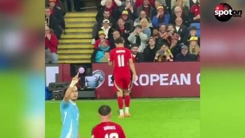 Animal speedster: Rat interrupts football match