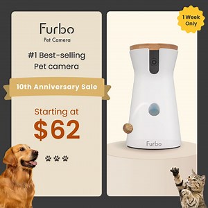 1.8K views | Celebrate 10 years of Furbo with a limited-time sale! Starting at $37 + extra 10% off with code 10YEAR! ✅ Rotating 360° View with Auto Tracking: Never miss a moment! ✅ Activity & Barking Reports: Track Behaviour and identify trends. ✅ Nanny Chat: Get personalized advice and expert AI-powered answers. Always with your pet, always for your peace of mind. | Furbo Pet Camera | Facebook