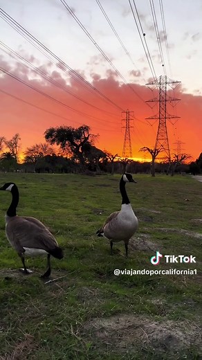 Explore Whittier Narrows Recreation Area in California