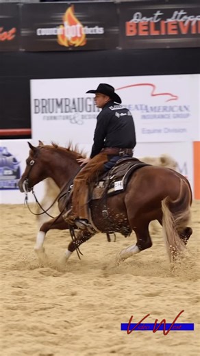 79 reactions | Gottii (by CR Gotcha Covered) and Tarin Rice are OPEN...