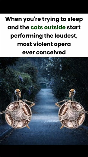 skeleton banging shield meme #memes #funnymemes