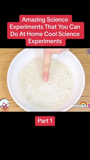 Amazing Science Experiments That You Can Do At Home Cool Science Experiments. Part 1