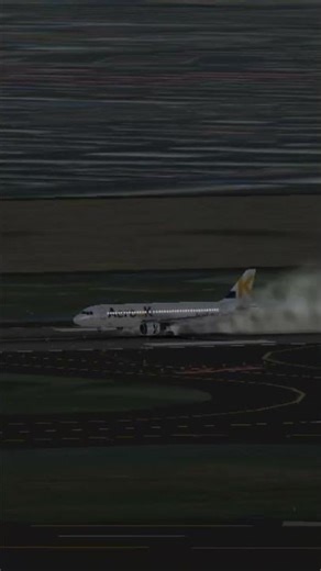 悪天候の中でのハードランディング！ #airplane #aviation #a320 #landing #rfs #airport #shorts #ryanair #automobile