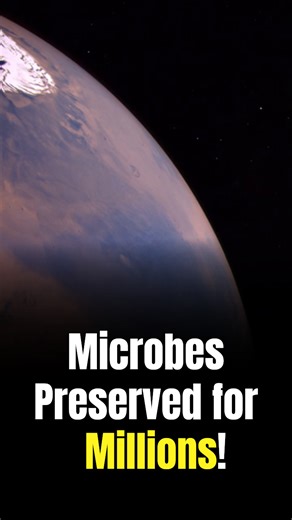 Mars may have microbes frozen in its icy surfaces