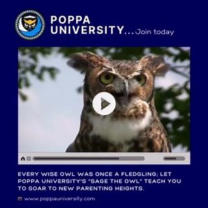 Join the flock of fathers flying to success at Poppa University, launching this June! 🎓🦉 Get updates: www.poppauniversity.com #Fatherhood #PoppaU | Fathers Incorporated