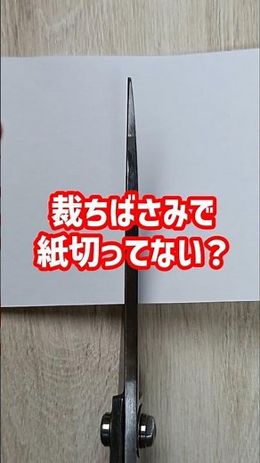 裁ちばさみで紙を切るとダメな理由【洋裁初心者】 #洋裁 #ハンドメイド #ソーイング