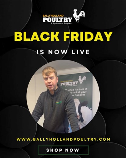 7K views · 86 shares |  Black Friday is NOW LIVE!  Our biggest savings of the year have landed — head over to our website to grab your exclusive discount code and use it at checkout!  Whether it’s poultry products or agricultural supplies, don’t miss out on these unbeatable deals!  Visit: www.ballyhollandpoultry.com #blackfriday #discounts #ballyhollandpoultry #sale #agriculture #poultry | Ballyholland Poultry | Facebook