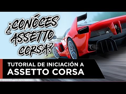 TUTORIAL INICIACIÓN A ASSETTO CORSA