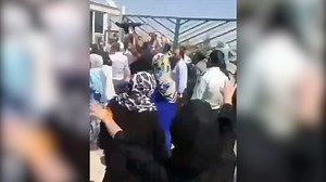 Dog Killings Video Sparks Backlash In Iran