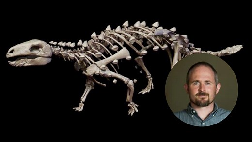 [Audio] Nicholas Pyenson, paleontólogo: La disciplina vive "un renacimiento" en Chile