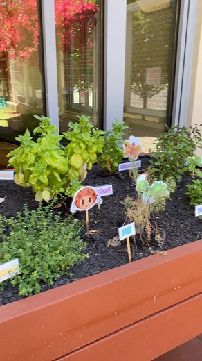 18 reactions · 4 comments | Did you know that Central Park Library has a lovely Children’s Garden in the Youth area? Get some fresh air and check it out sometime. There’s plenty of space for you to have a snack , play 笠, read and relax ☀️ with your little ones! If you’re feeling adventurous, explore our touch and feel herb garden 華... you may even meet a new friend . | Santa Clara City Library | Facebook