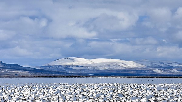 The 10 Windiest Cities in Montana and How Residents Adapt