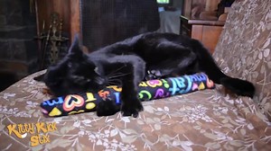 😻 Handmade in the U.S.A. 😻 These cats LOVE their Kick Stix! Get your cat kickin' @ www.KittyKickStix.com | Kitty Kick Stix - Catnip toy