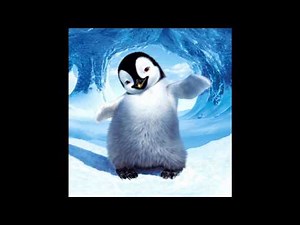 Happy Feet Boogie Wonderland