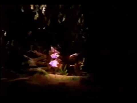 1989 Splash Mountain Official Footage (Disneyland)