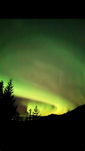 A strong band of vibrant green Northern lights across the sky in SE Alaska. #auroraborealis #aurora #alask #alaskalife #SkyWatcher